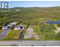 1216 Bauline Line, Bauline, Newfoundland & Labrador