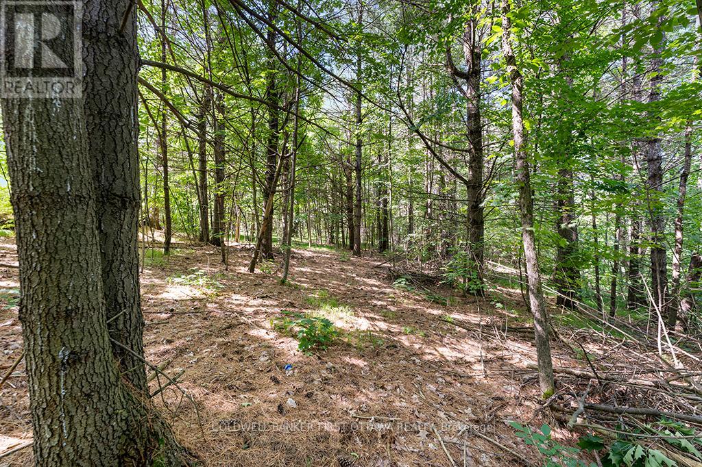 115 Doran Road, Tay Valley, Ontario  K7H 3C7 - Photo 16 - X12304850