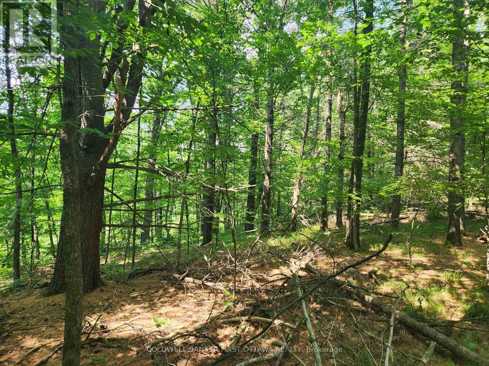 115 Doran Road, Tay Valley, Ontario  K7H 3C7 - Photo 19 - X12304850