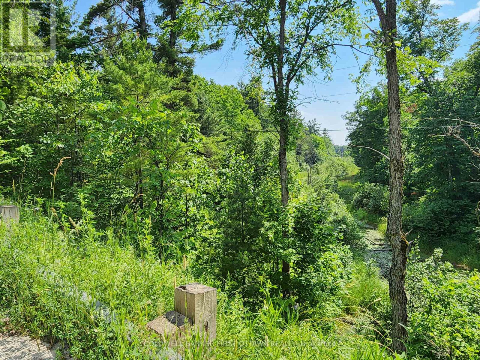 115 Doran Road, Tay Valley, Ontario  K7H 3C7 - Photo 26 - X12304850