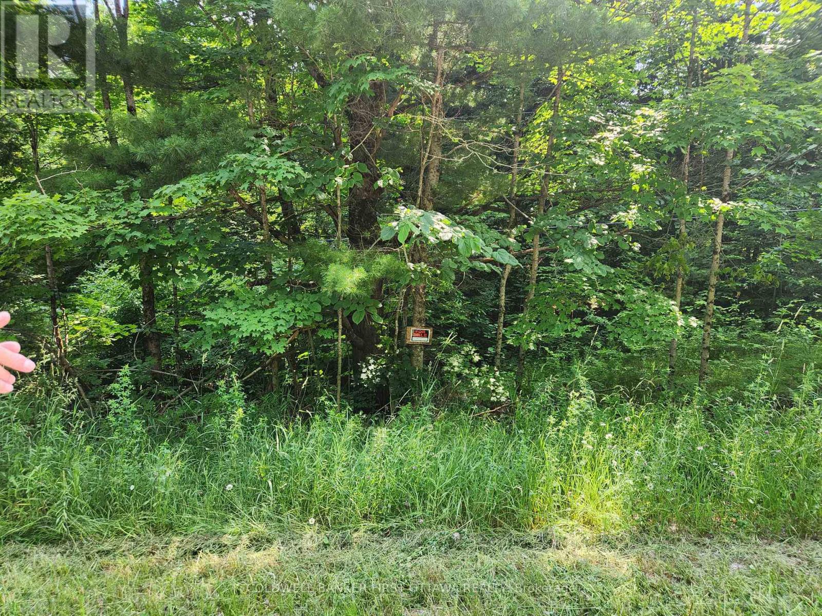 115 Doran Road, Tay Valley, Ontario  K7H 3C7 - Photo 28 - X12304850