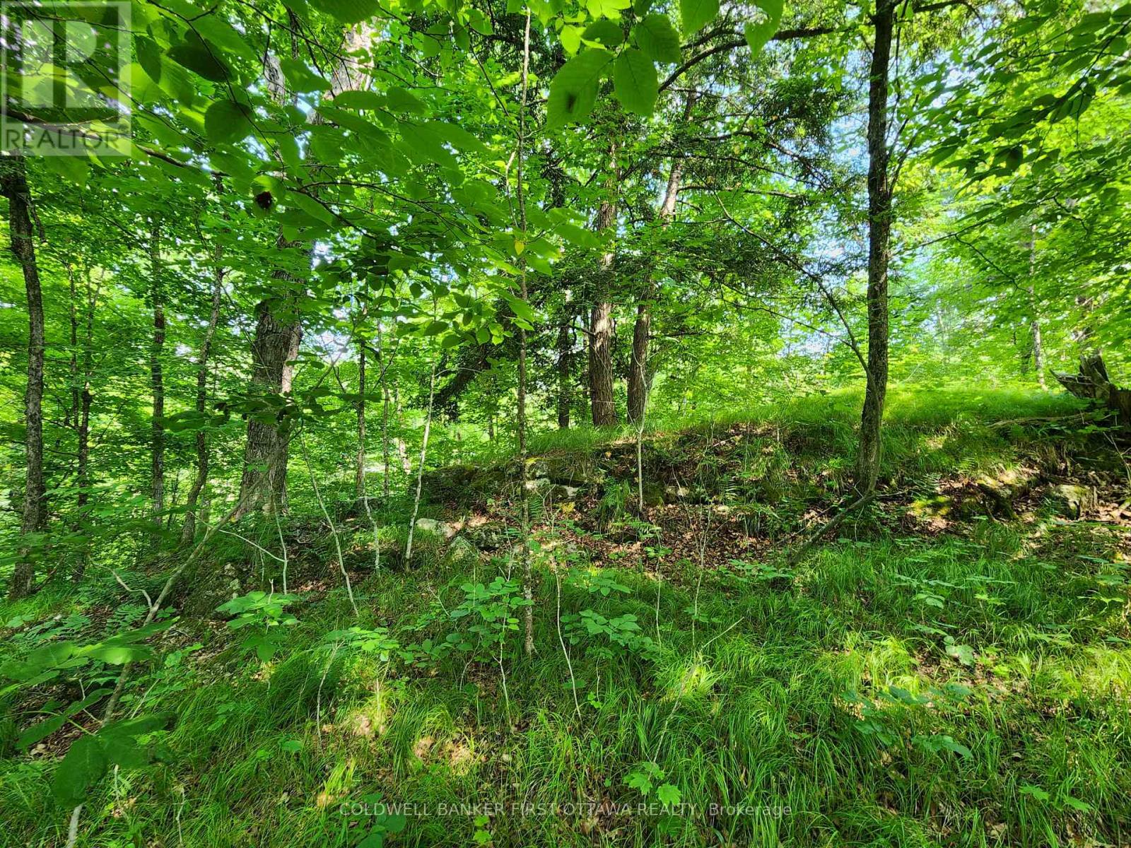 115 Doran Road, Tay Valley, Ontario  K7H 3C7 - Photo 29 - X12304850