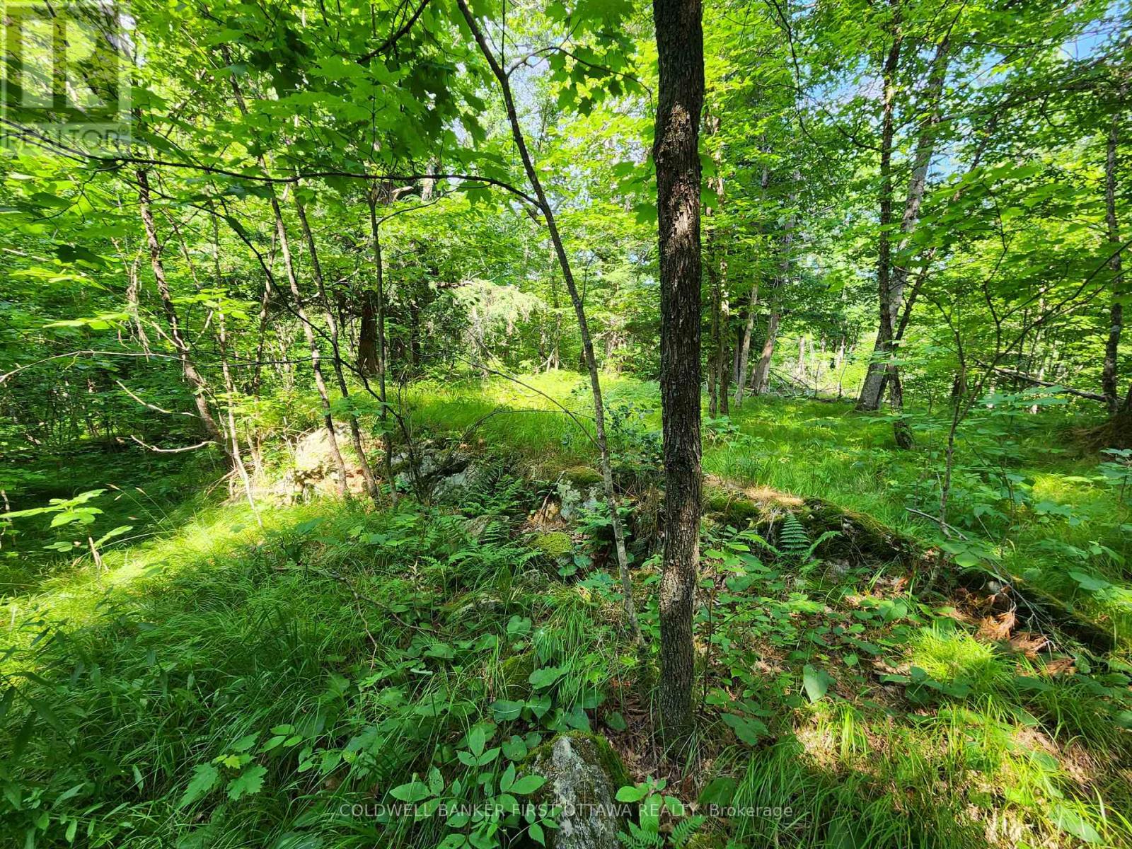 115 Doran Road, Tay Valley, Ontario  K7H 3C7 - Photo 31 - X12304850