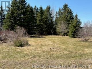 29 Route 322, North Tetagouche, New Brunswick  E2A 4Y6 - Photo 31 - NB123655