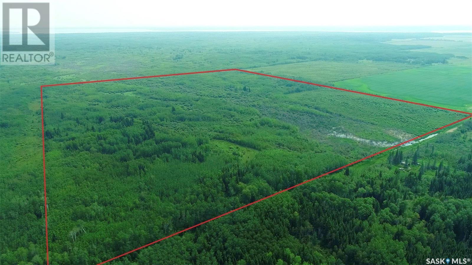 Recreational land N-E of White Fox, torch river rm no. 488, Saskatchewan