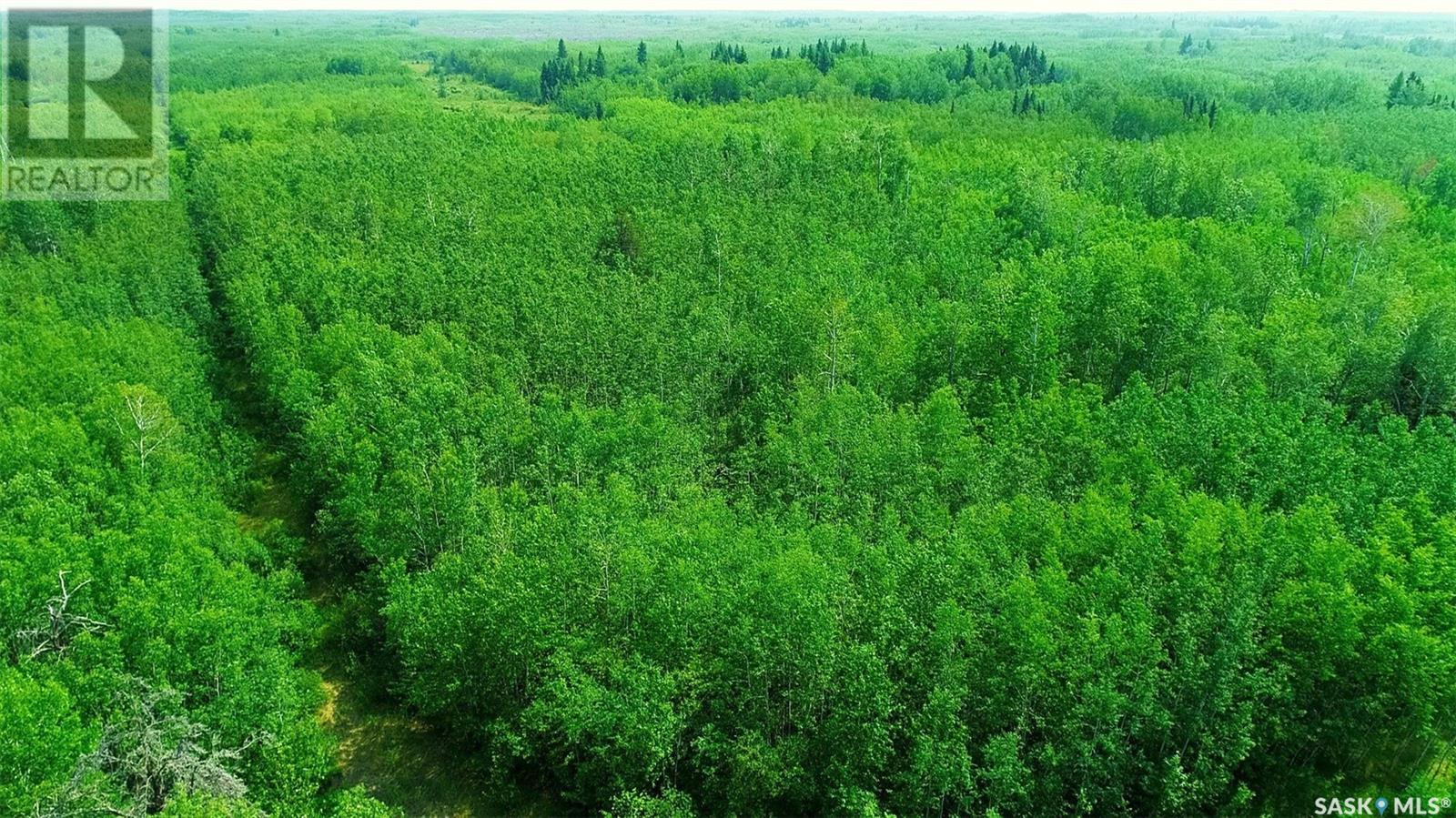 Recreational Land N-E Of White Fox, Torch River Rm No. 488, Saskatchewan  S0J 3B0 - Photo 16 - SK013366