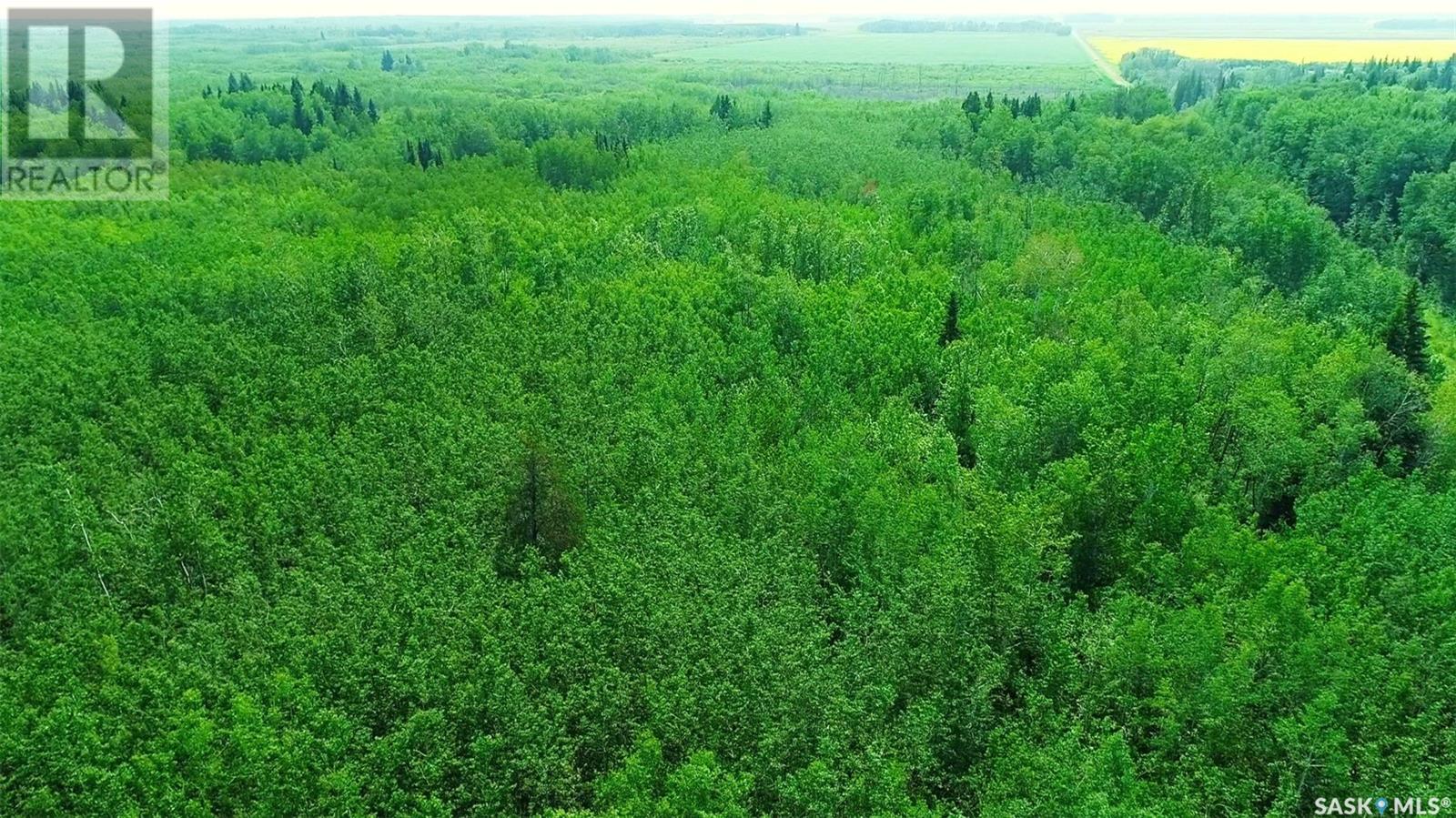 Recreational Land N-E Of White Fox, Torch River Rm No. 488, Saskatchewan  S0J 3B0 - Photo 17 - SK013366