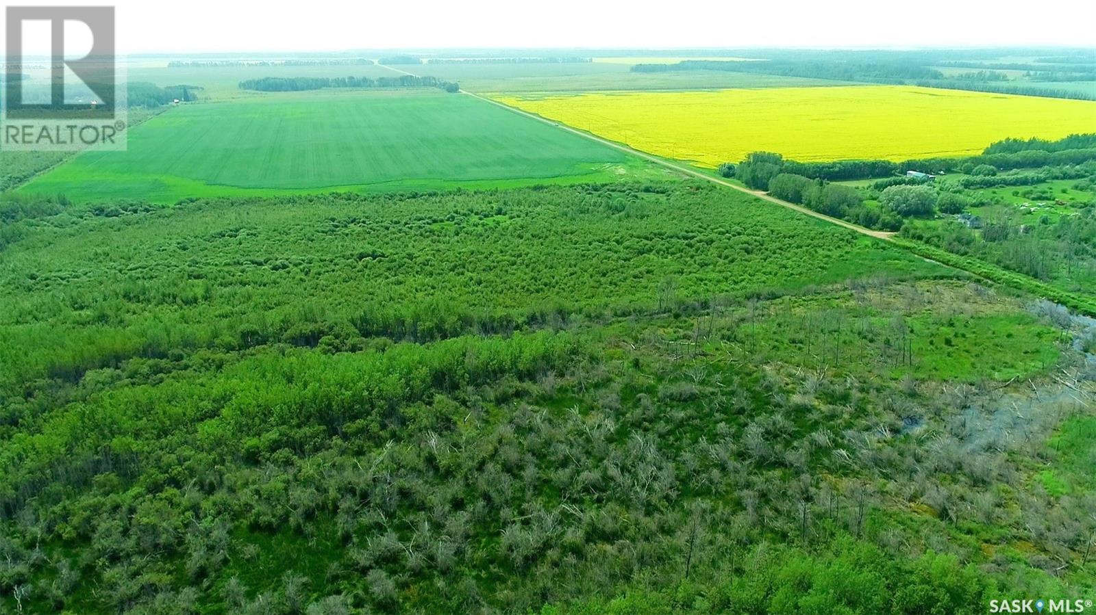 Recreational Land N-E Of White Fox, Torch River Rm No. 488, Saskatchewan  S0J 3B0 - Photo 18 - SK013366