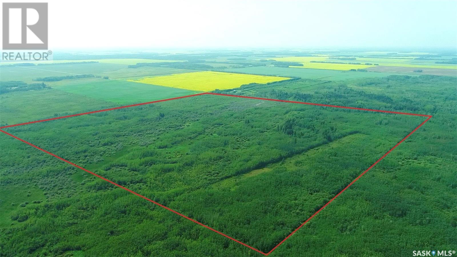 Recreational Land N-E Of White Fox, Torch River Rm No. 488, Saskatchewan  S0J 3B0 - Photo 19 - SK013366