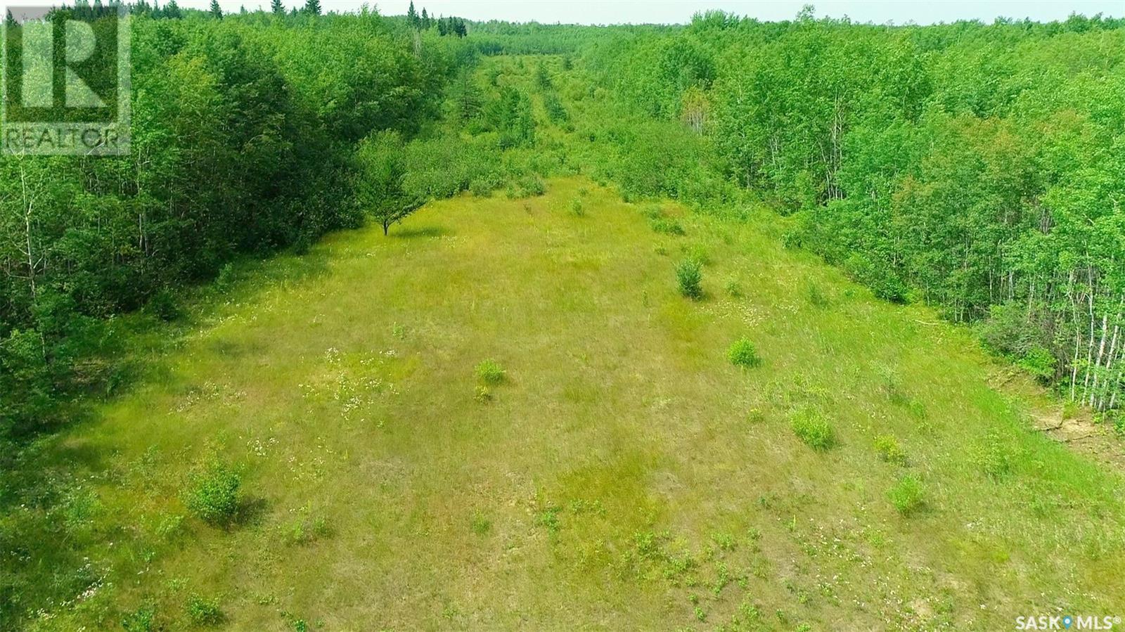 Recreational Land N-E Of White Fox, Torch River Rm No. 488, Saskatchewan  S0J 3B0 - Photo 23 - SK013366