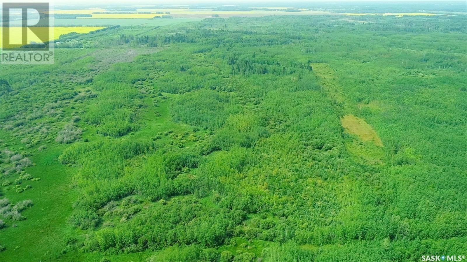 Recreational Land N-E Of White Fox, Torch River Rm No. 488, Saskatchewan  S0J 3B0 - Photo 25 - SK013366
