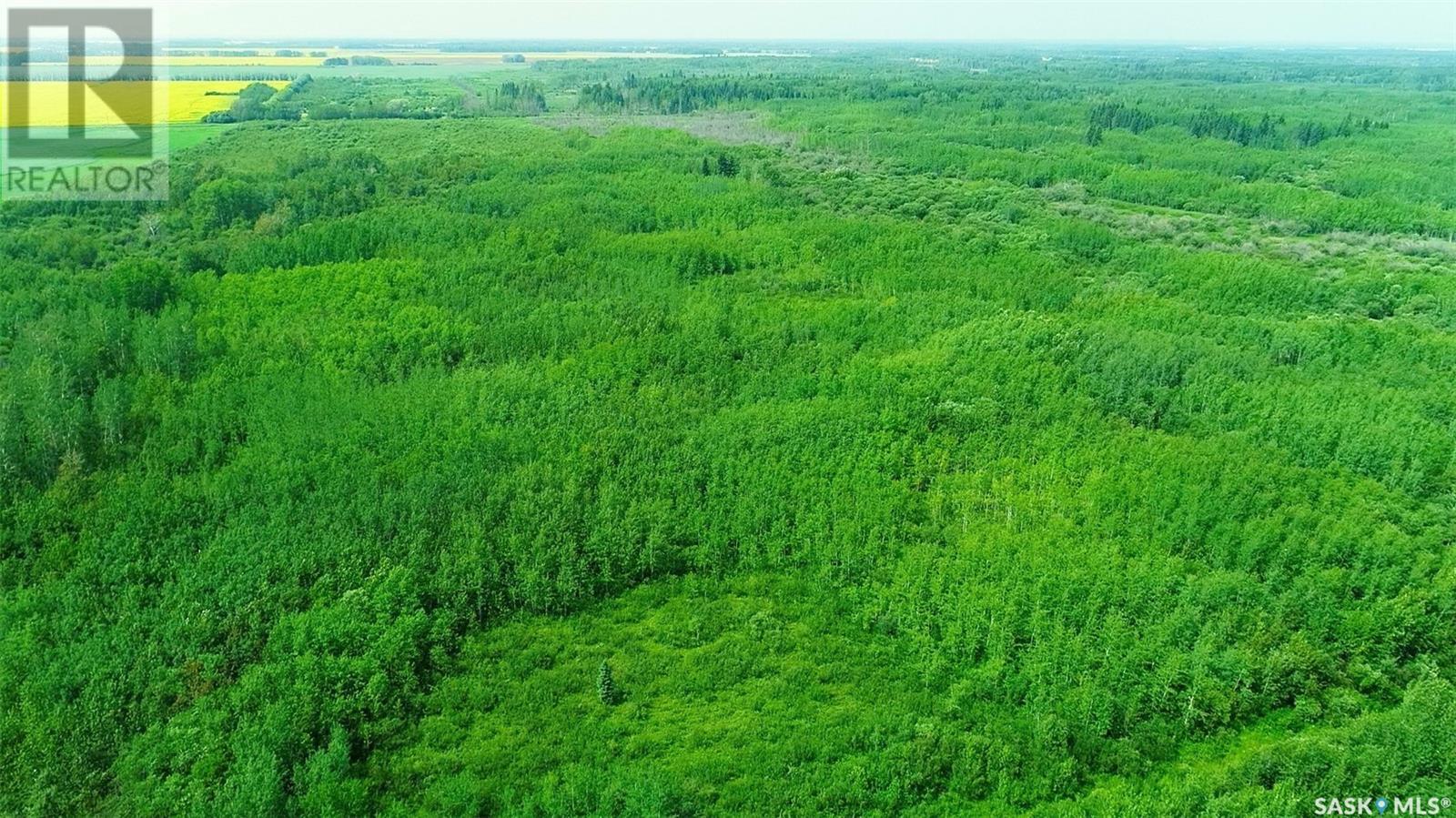 Recreational Land N-E Of White Fox, Torch River Rm No. 488, Saskatchewan  S0J 3B0 - Photo 27 - SK013366