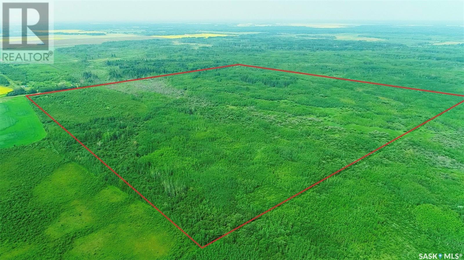Recreational Land N-E Of White Fox, Torch River Rm No. 488, Saskatchewan  S0J 3B0 - Photo 28 - SK013366