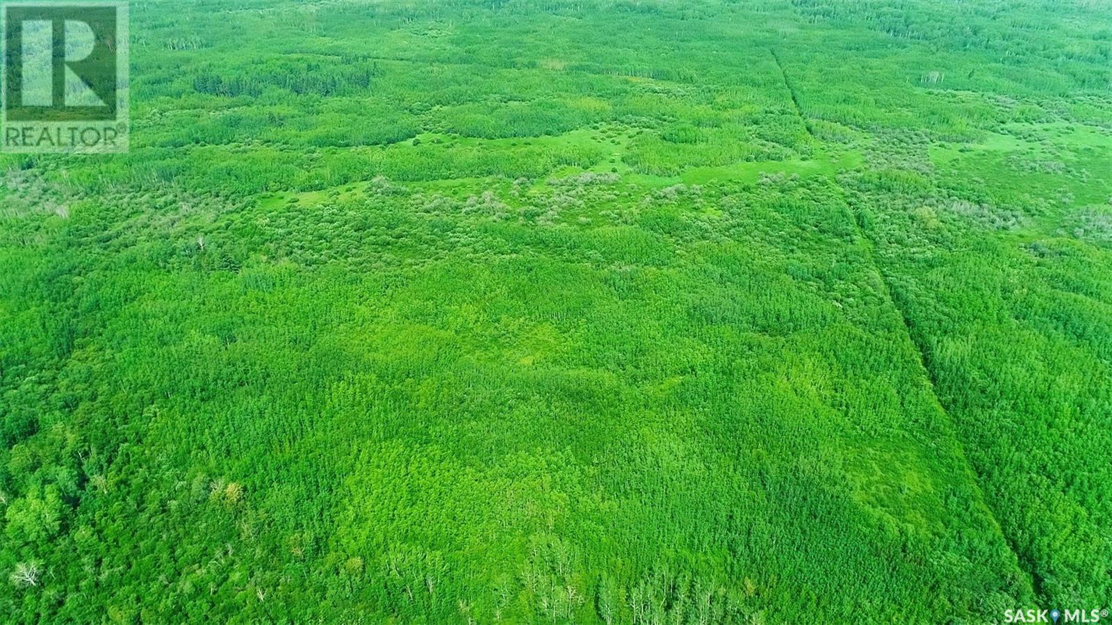 Recreational Land N-E Of White Fox, Torch River Rm No. 488, Saskatchewan  S0J 3B0 - Photo 29 - SK013366