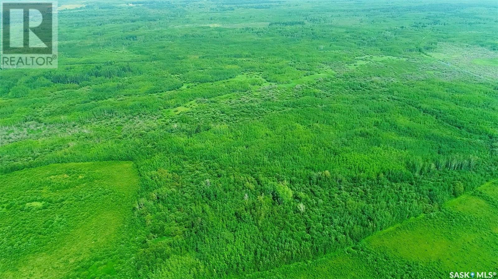 Recreational Land N-E Of White Fox, Torch River Rm No. 488, Saskatchewan  S0J 3B0 - Photo 30 - SK013366