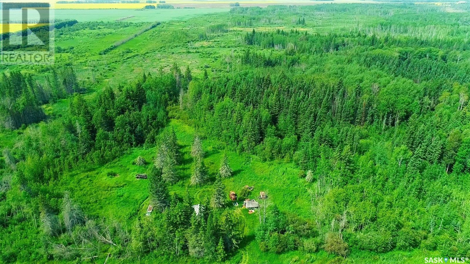 Recreational Land N-E Of White Fox, Torch River Rm No. 488, Saskatchewan  S0J 3B0 - Photo 33 - SK013366