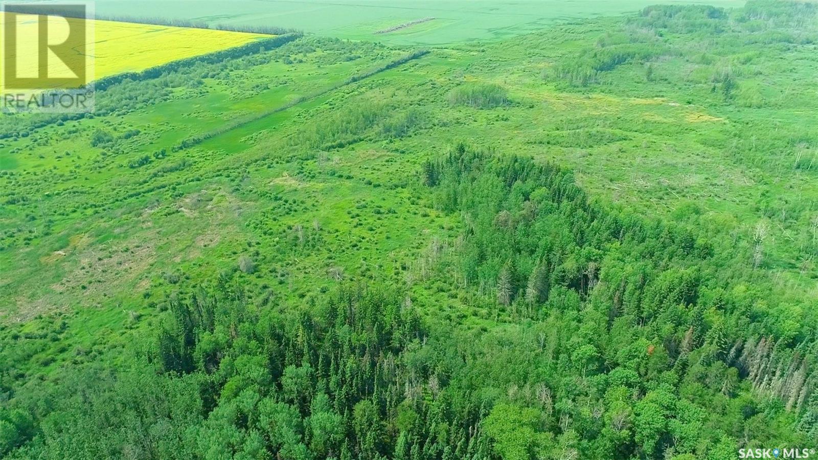 Recreational Land N-E Of White Fox, Torch River Rm No. 488, Saskatchewan  S0J 3B0 - Photo 37 - SK013366