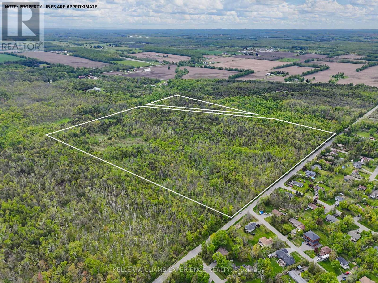 552 10 Line S, Oro-Medonte, Ontario  L0L 1T0 - Photo 13 - S12304965