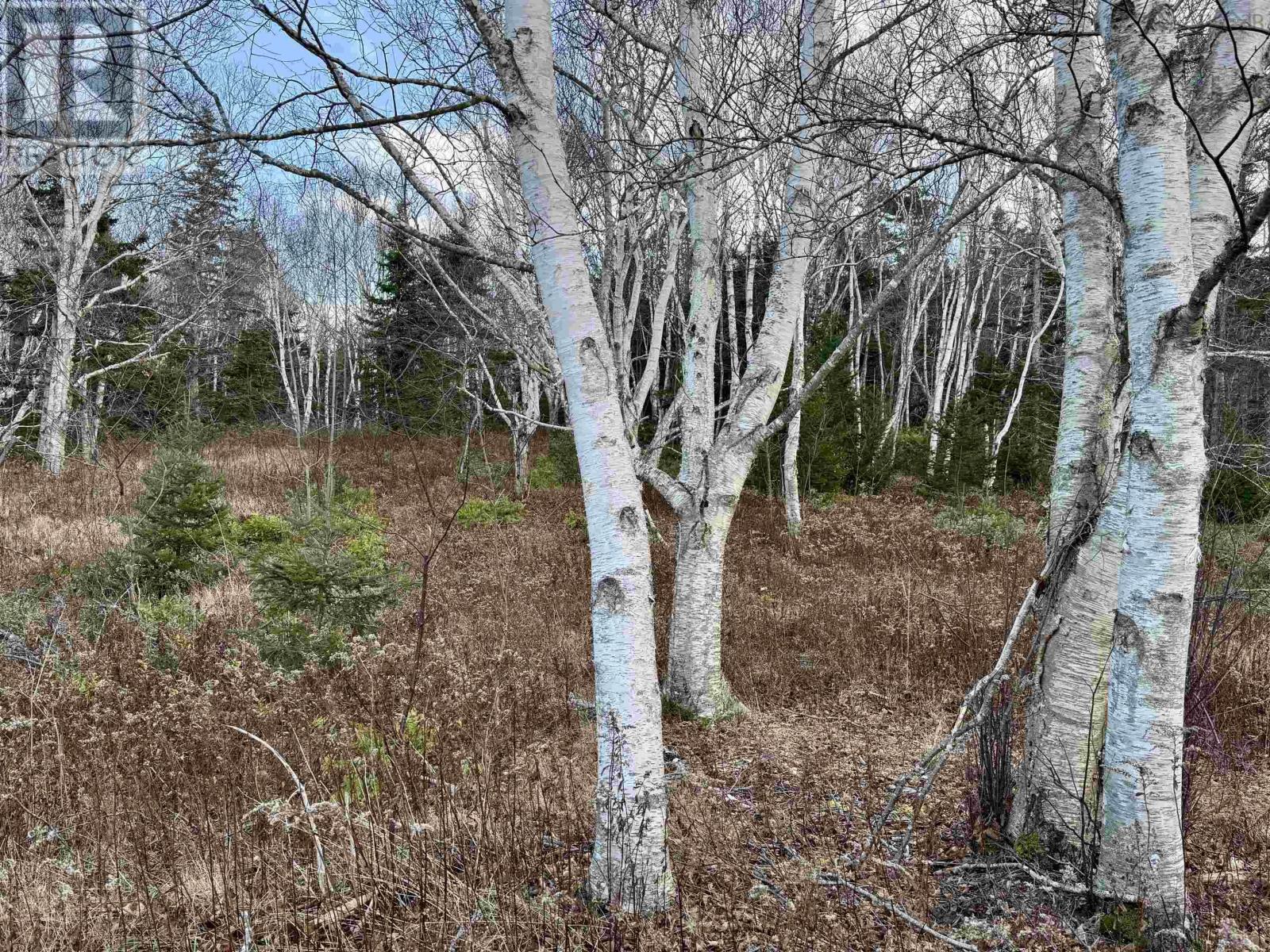 Lot Highway 104, Irish Cove, Nova Scotia  B0E 3B0 - Photo 14 - 202427634