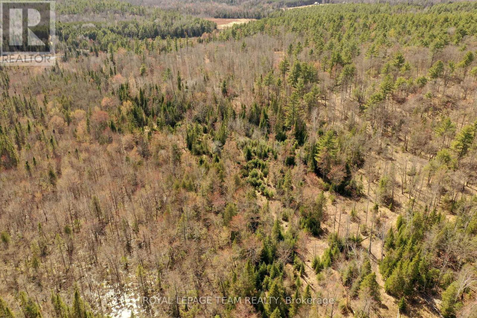 00 K&p Trail, Lanark Highlands, Ontario  K0G 1K0 - Photo 22 - X12139435