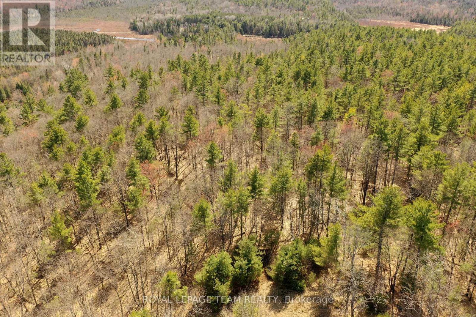 00 K&p Trail, Lanark Highlands, Ontario  K0G 1K0 - Photo 20 - X12139435
