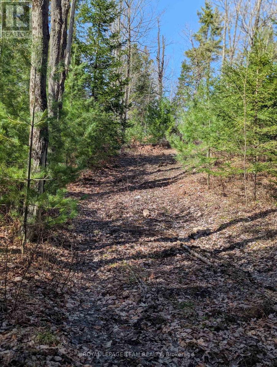 00 K&p Trail, Lanark Highlands, Ontario  K0G 1K0 - Photo 19 - X12139435