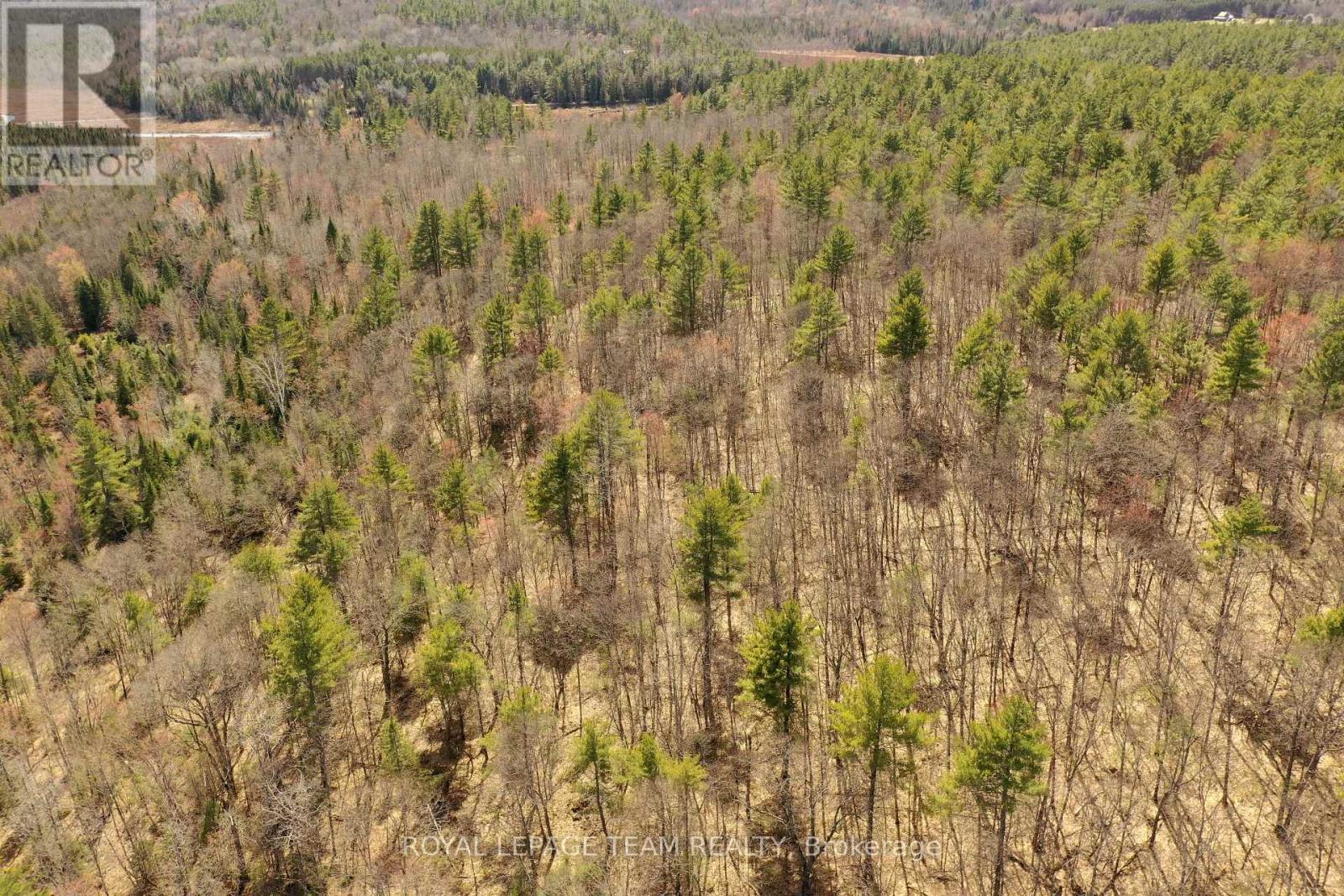 00 K&p Trail, Lanark Highlands, Ontario  K0G 1K0 - Photo 21 - X12139435