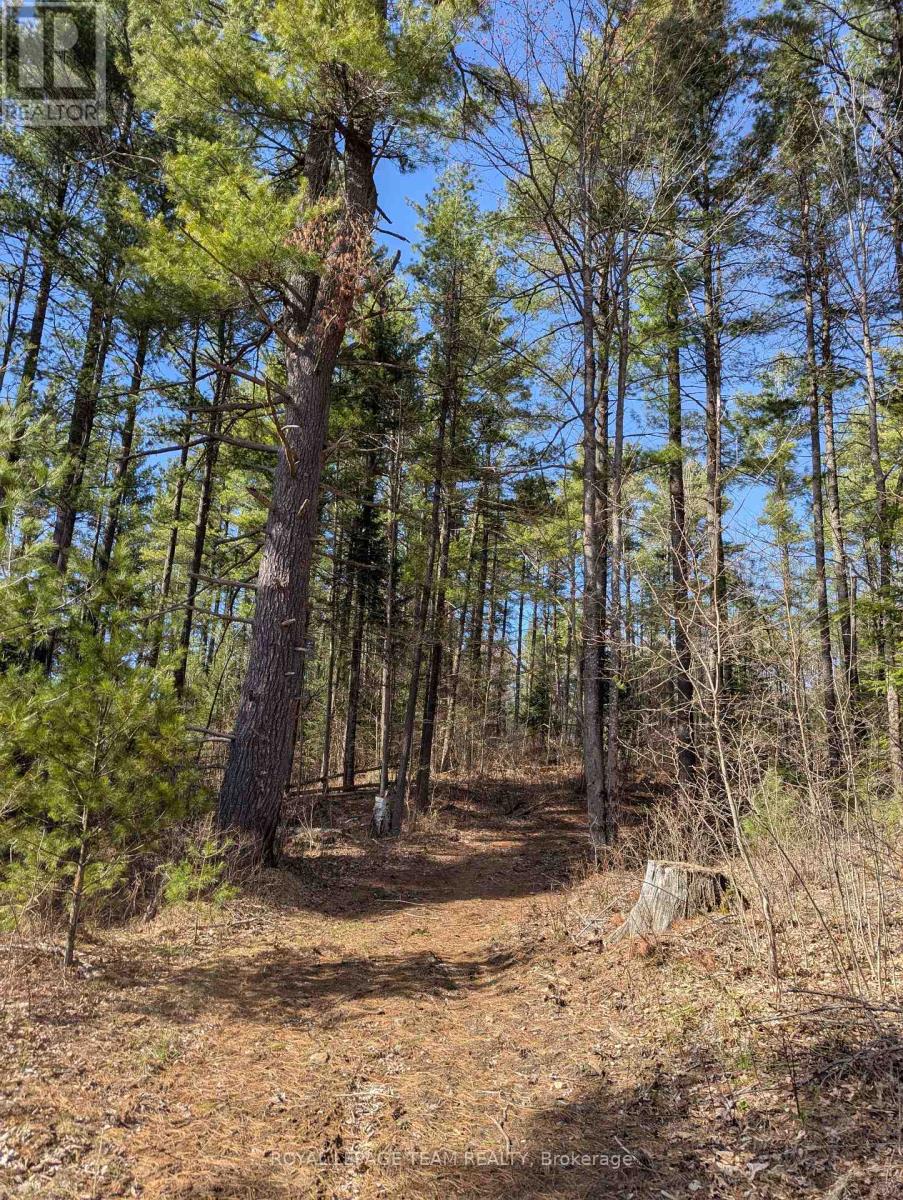00 K&p Trail, Lanark Highlands, Ontario  K0G 1K0 - Photo 26 - X12139435