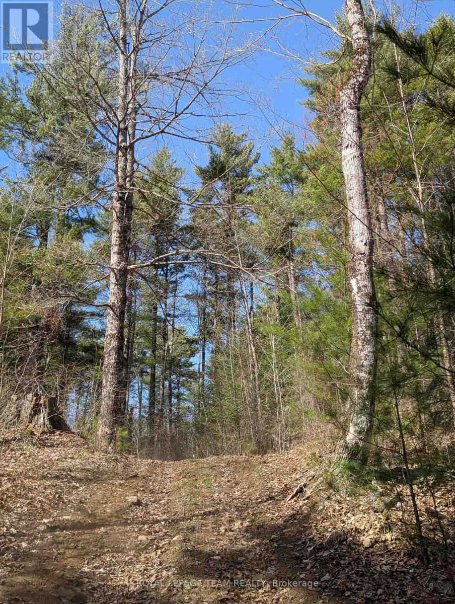 00 K&p Trail, Lanark Highlands, Ontario  K0G 1K0 - Photo 28 - X12139435