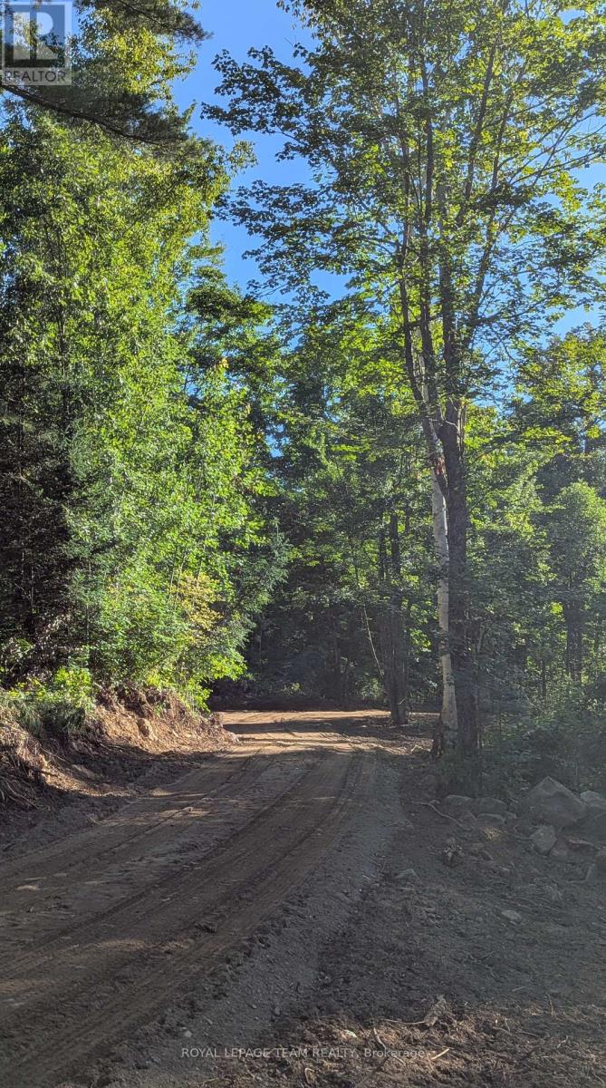 00 K&p Trail, Lanark Highlands, Ontario  K0G 1K0 - Photo 5 - X12139435