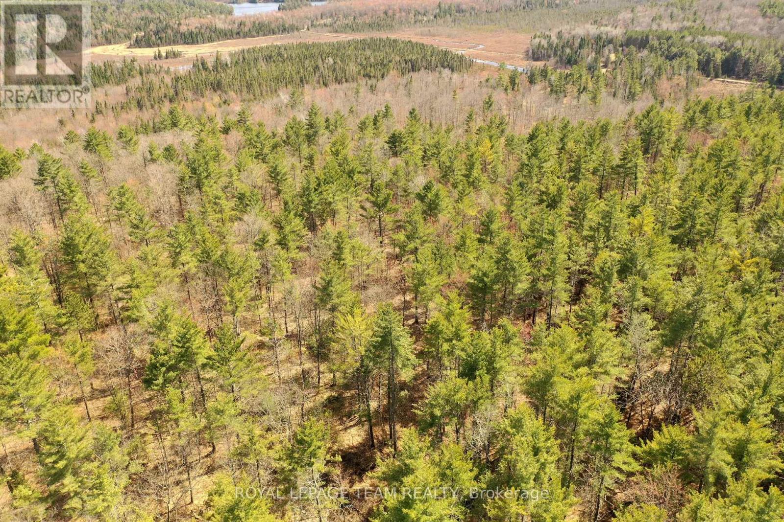 00 K&p Trail, Lanark Highlands, Ontario  K0G 1K0 - Photo 16 - X12139435