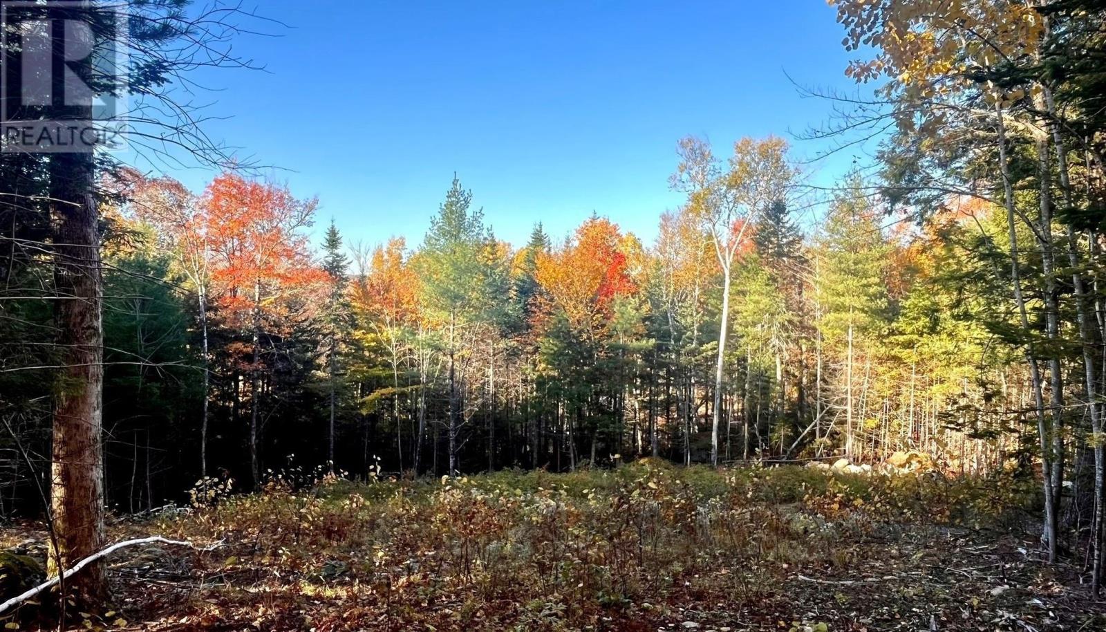 Lot 109 Blue Jay Way, Vaughan, Nova Scotia  B0N 2T0 - Photo 1 - 202426331