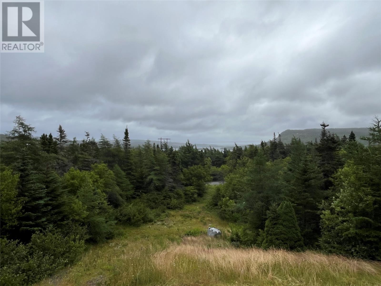 102 Horse Chops Road, Cape Broyle, Newfoundland & Labrador  A0A 1P0 - Photo 24 - 1288165