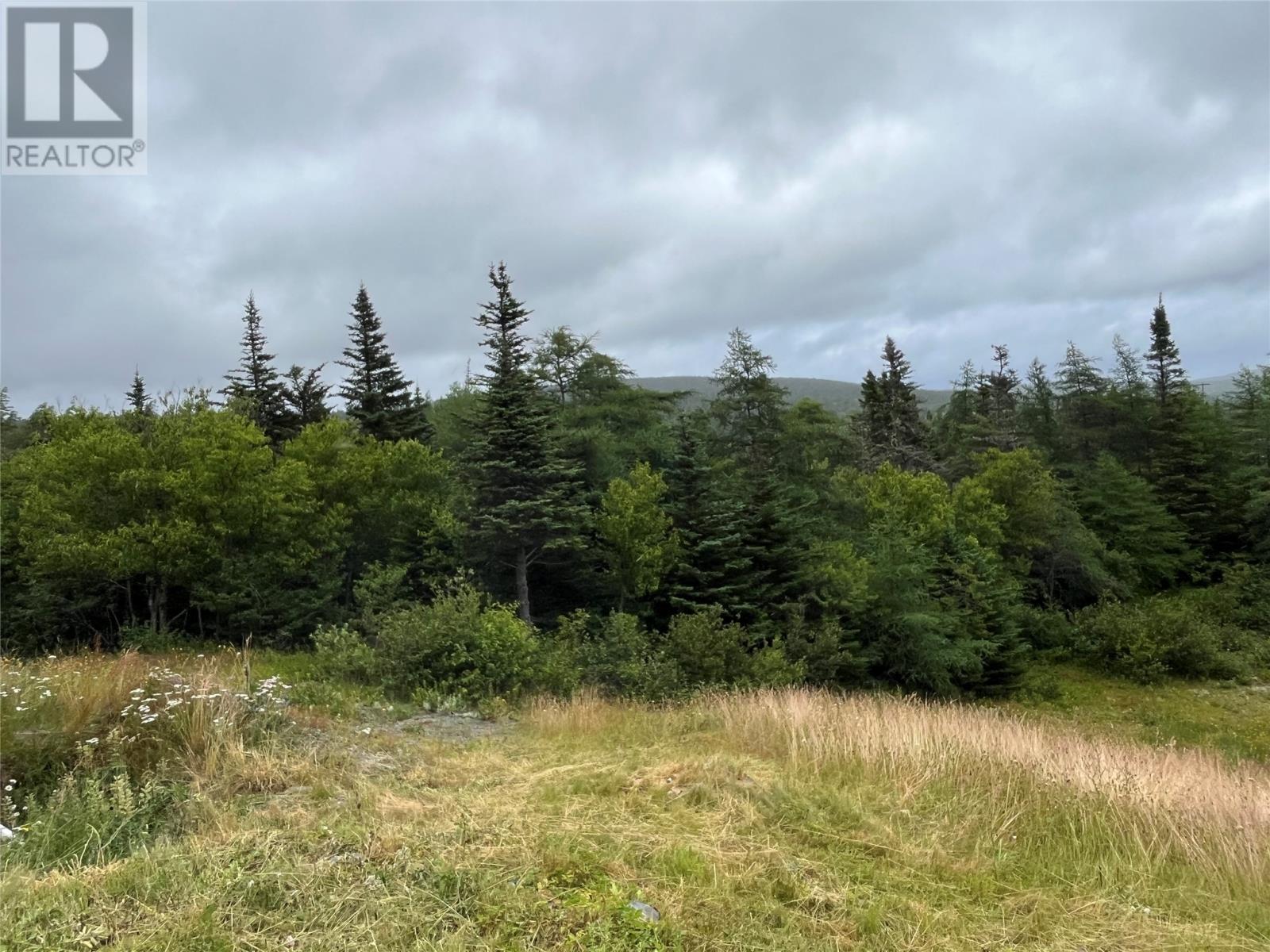 102 Horse Chops Road, Cape Broyle, Newfoundland & Labrador  A0A 1P0 - Photo 7 - 1288165