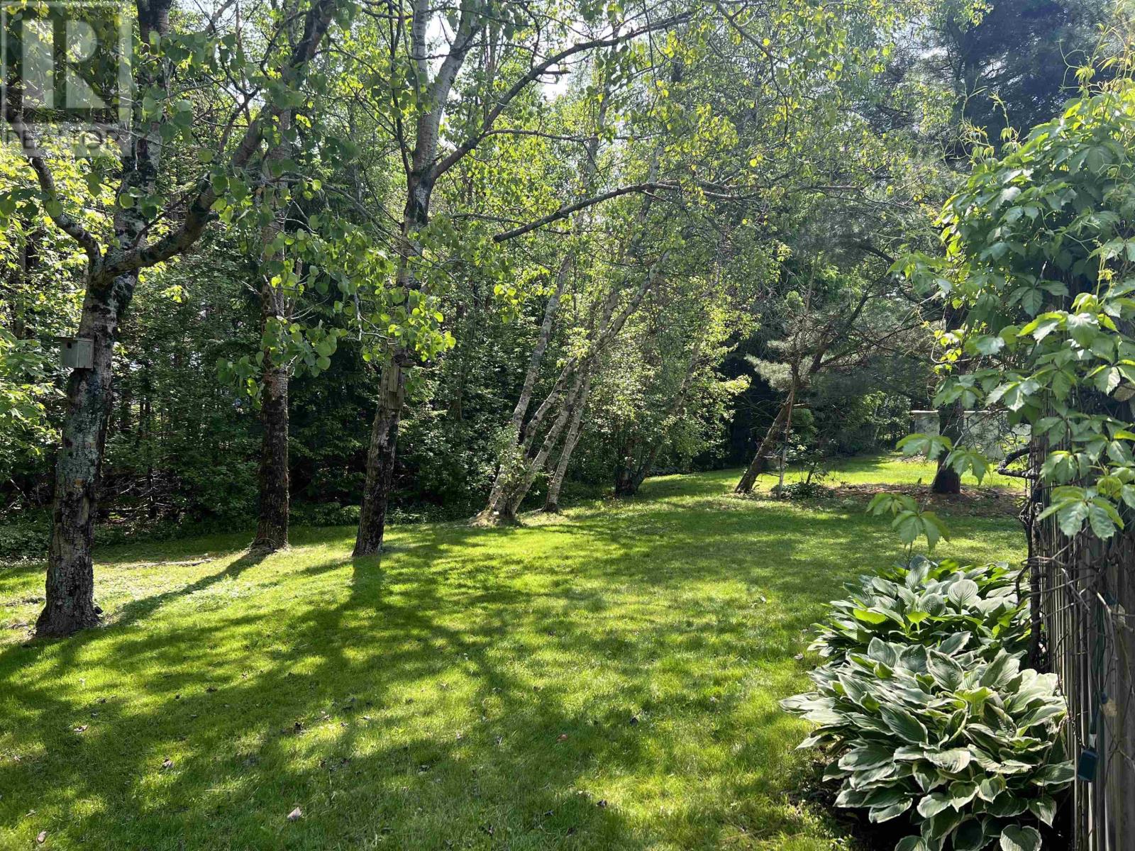 Property at 98 Oakwood Drive image 5