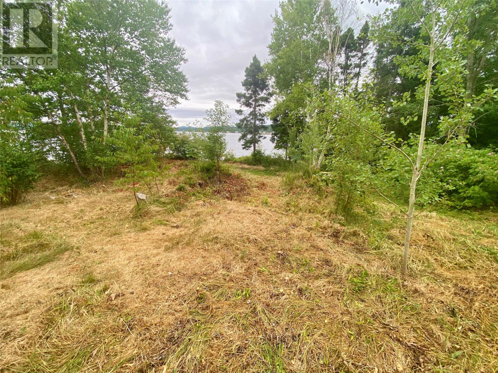 86 Main Street N, Glovertown, Newfoundland & Labrador  A0G 2L0 - Photo 5 - 1288301