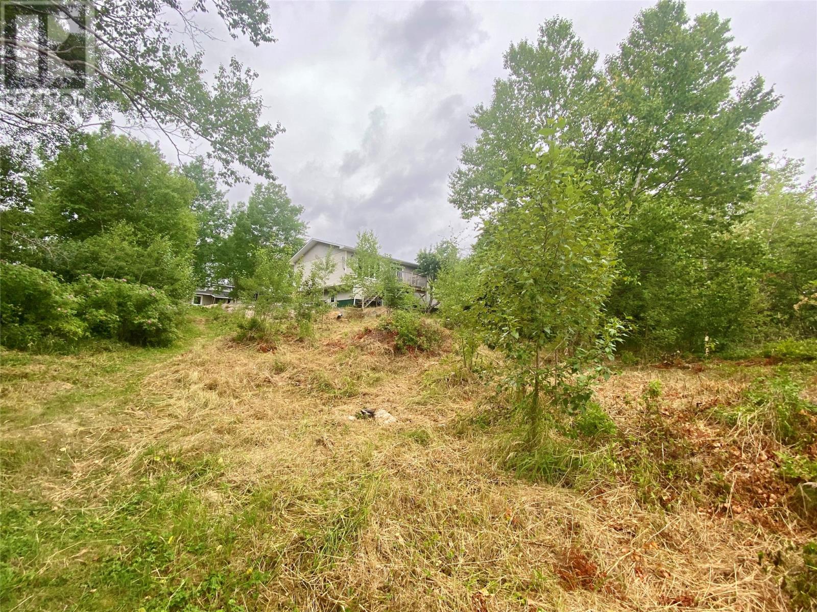 86 Main Street N, Glovertown, Newfoundland & Labrador  A0G 2L0 - Photo 6 - 1288301