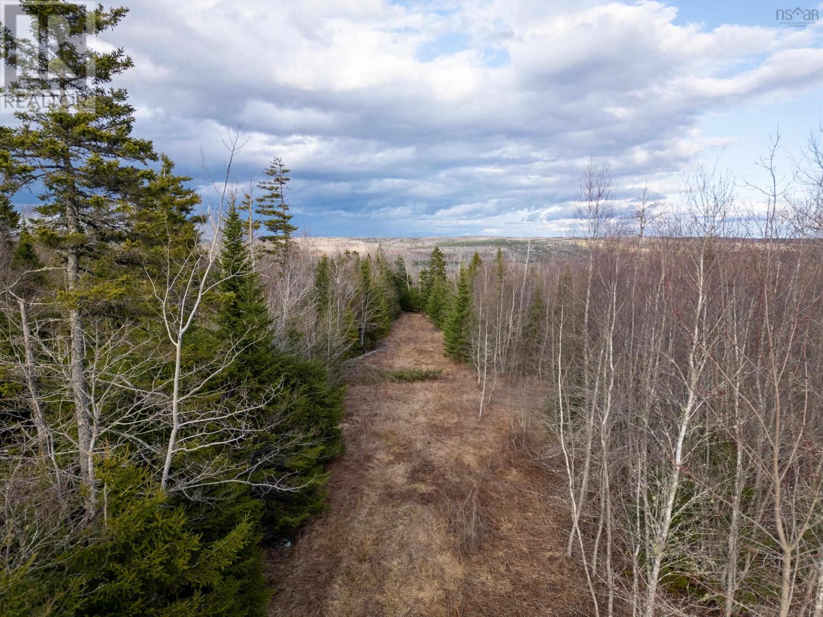 359 Harmony Ridge Road, Harmony, Nova Scotia  B6L 3P5 - Photo 50 - 202509059