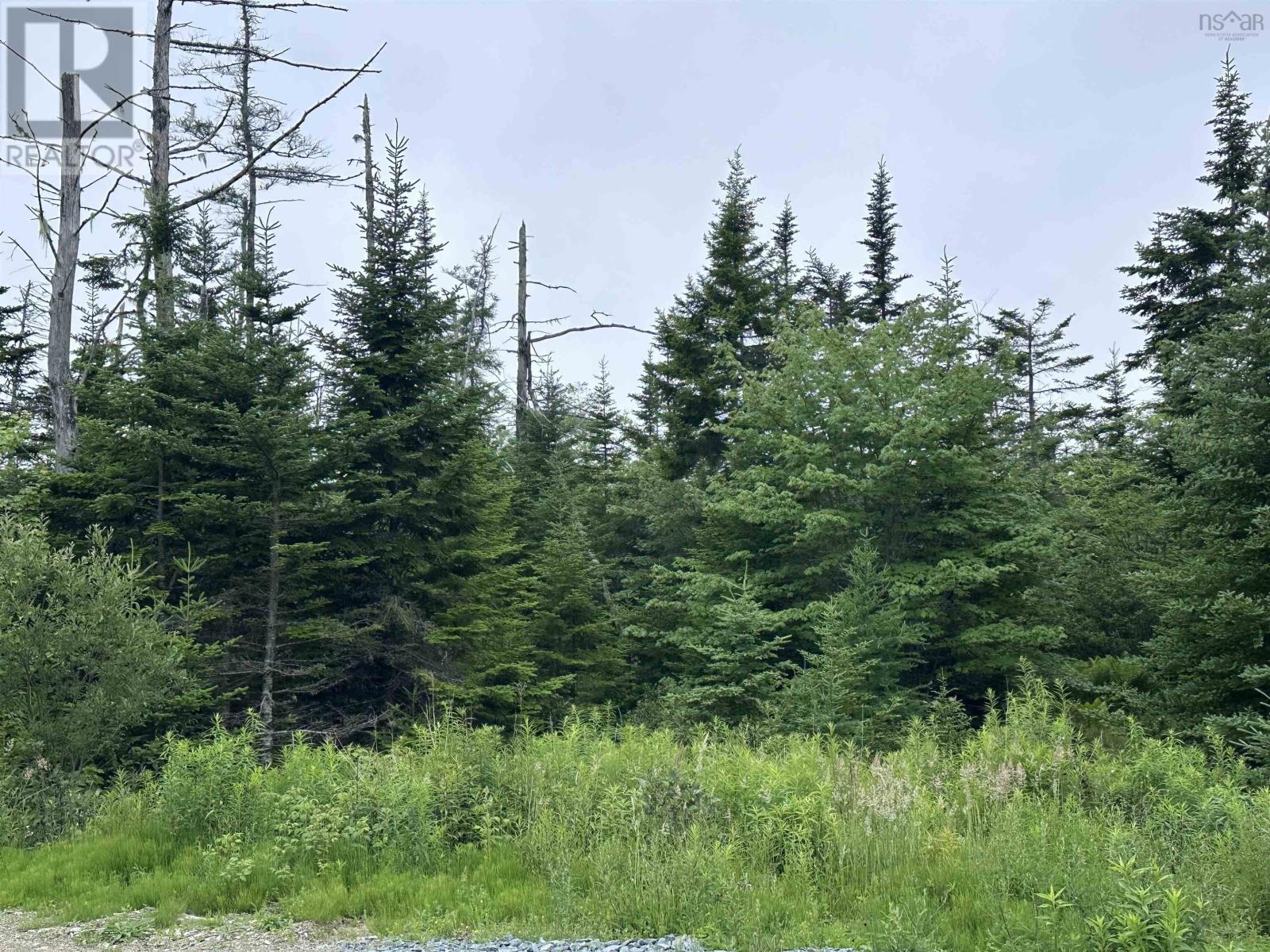 9660 Highway 7, Head Of Jeddore, Nova Scotia  B0J 1P0 - Photo 2 - 202517701