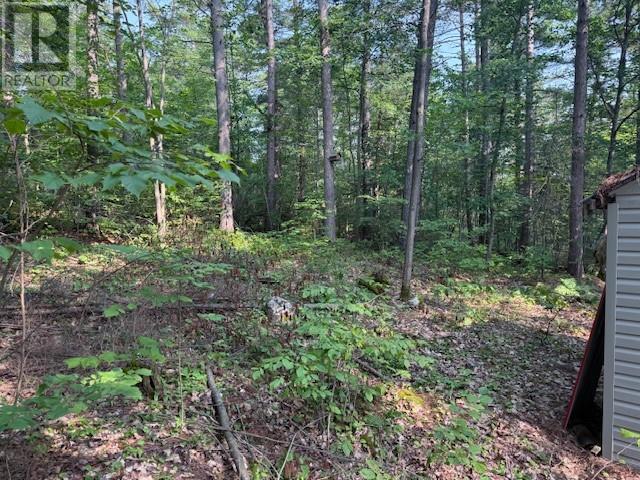 1811 Panache Lake Rd (Regional Rd 10), Sudbury, Ontario  P0M 3E0 - Photo 21 - 2123655