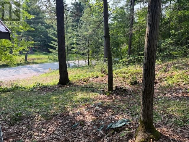 1811 Panache Lake Rd (Regional Rd 10), Sudbury, Ontario  P0M 3E0 - Photo 4 - 2123655
