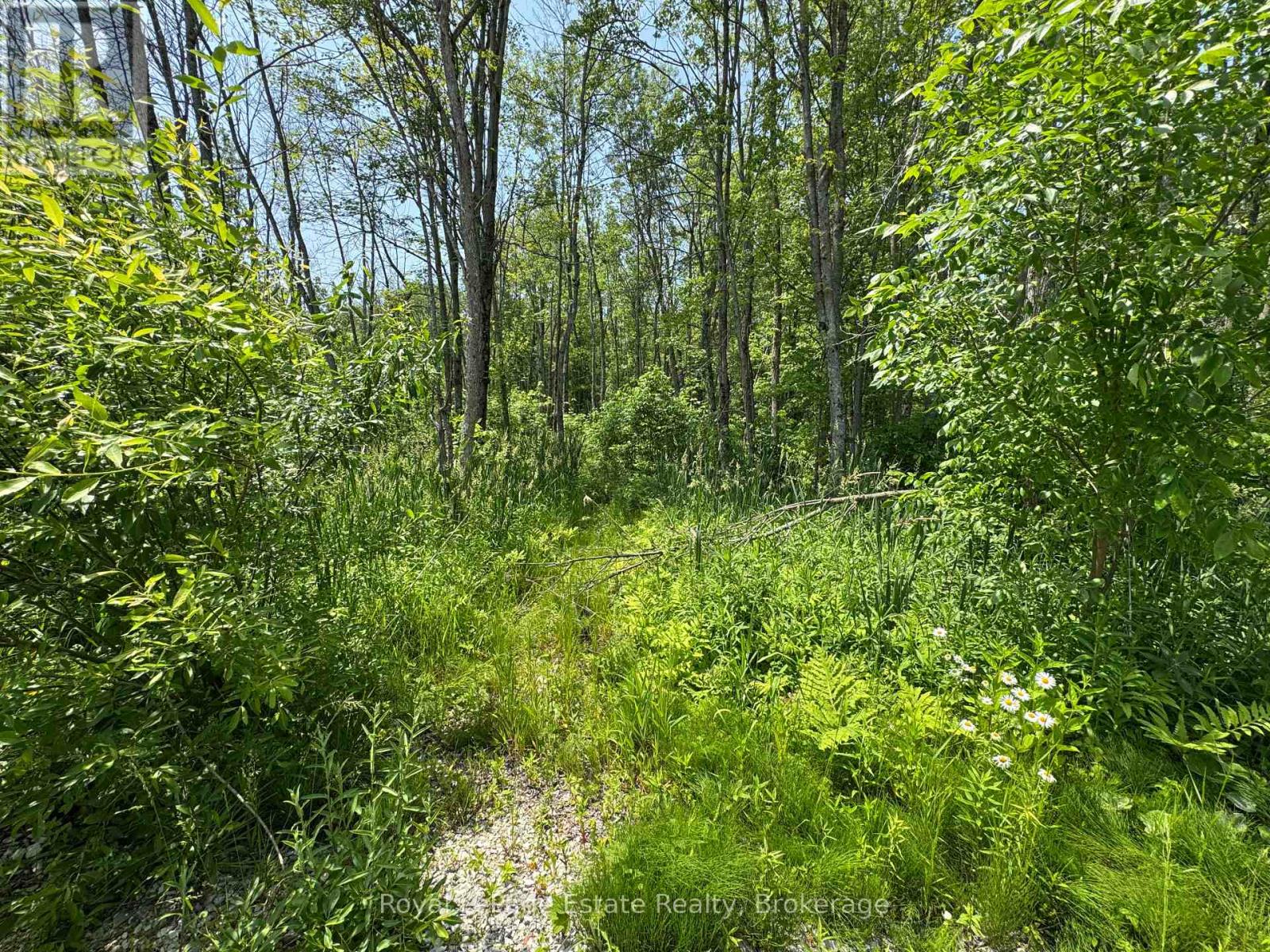 Pt Lt 36 & Pt Lt 37;  13 Concession, Arran-Elderslie, Ontario  N0H 1A0 - Photo 7 - X12240893