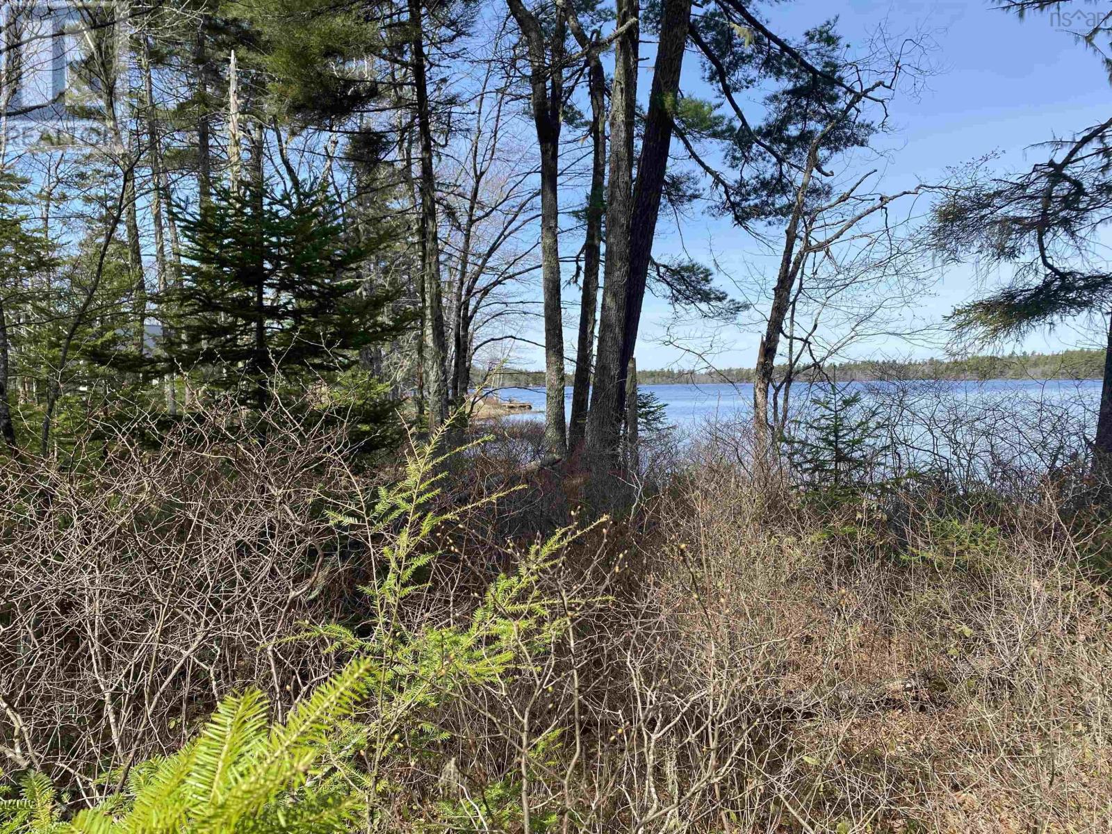Lot 16 Shingle Lake Road, New Elm, Nova Scotia  B4V 7M3 - Photo 4 - 202509600