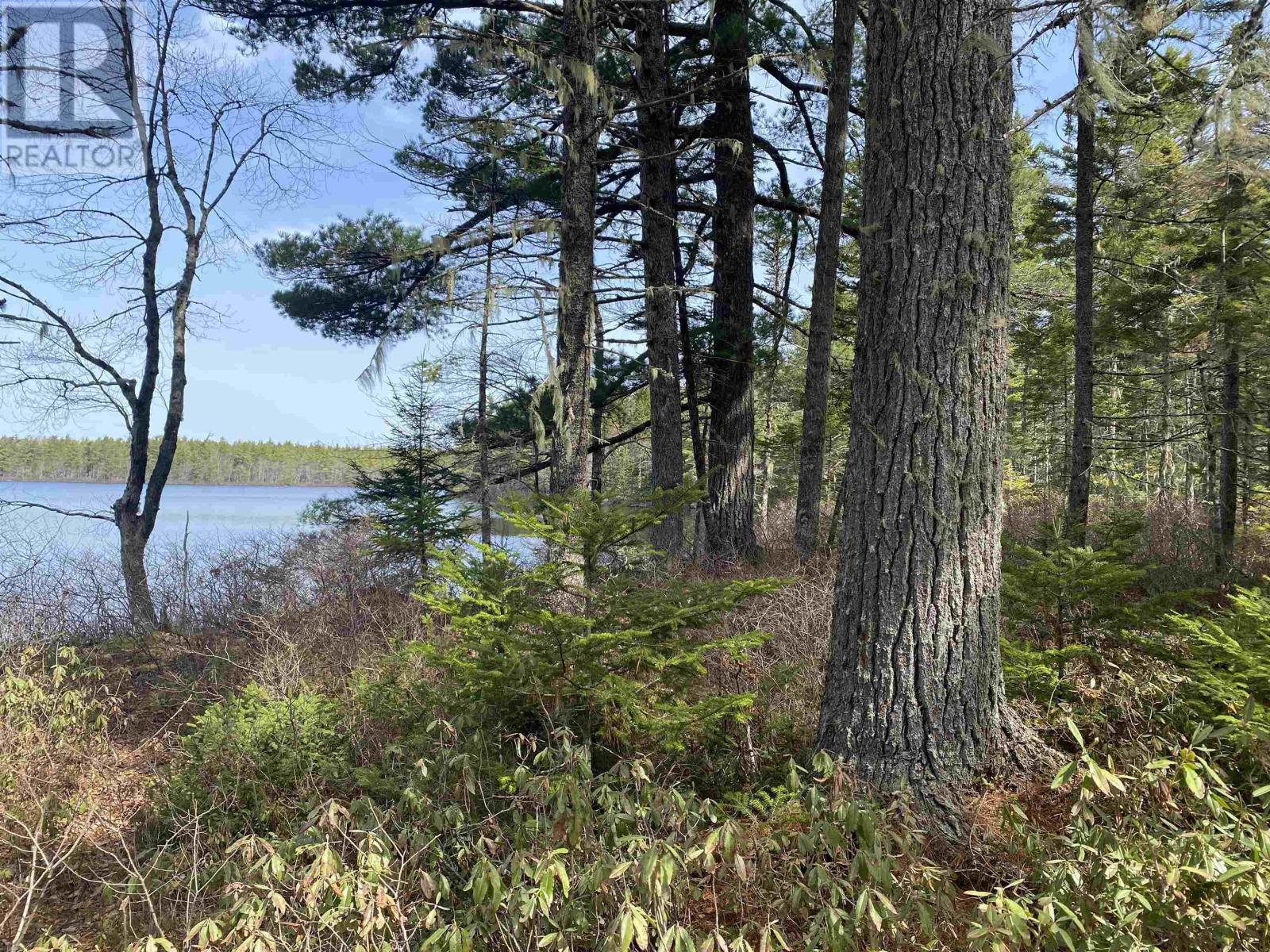 Lot 16 Shingle Lake Road, New Elm, Nova Scotia  B4V 7M3 - Photo 3 - 202509600