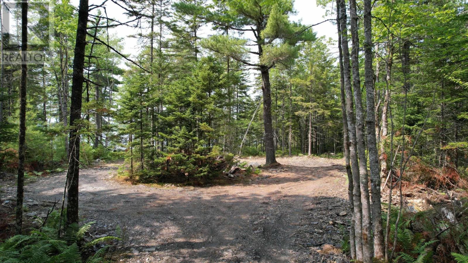 Lot 16 Shingle Lake Road, New Elm, Nova Scotia  B4V 7M3 - Photo 9 - 202509600
