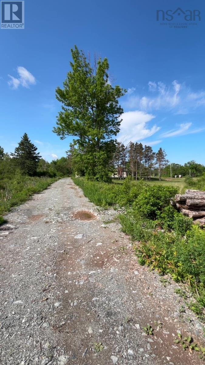 4650 Shore Road, Lismore, Nova Scotia  B0K 1G0 - Photo 27 - 202514539