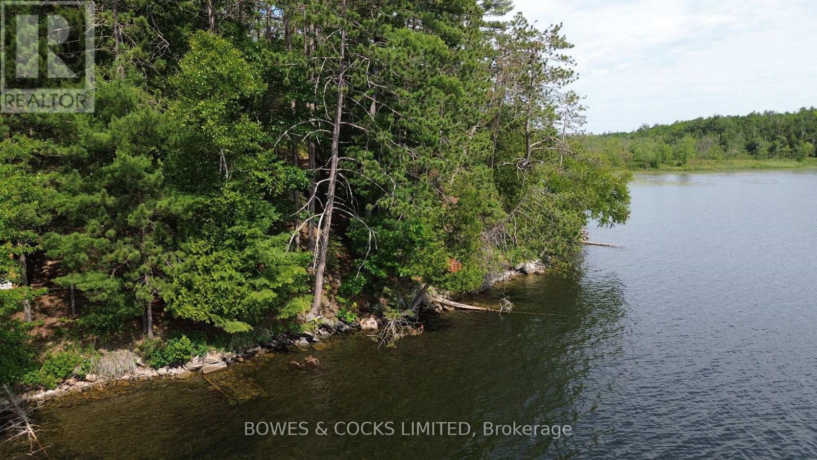 10 Fire Route 46, North Kawartha, Ontario  K0L 2H0 - Photo 12 - X12305577