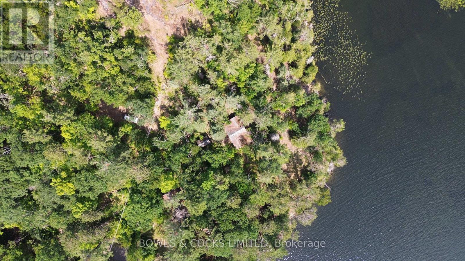 10 Fire Route 46, North Kawartha, Ontario  K0L 2H0 - Photo 15 - X12305577