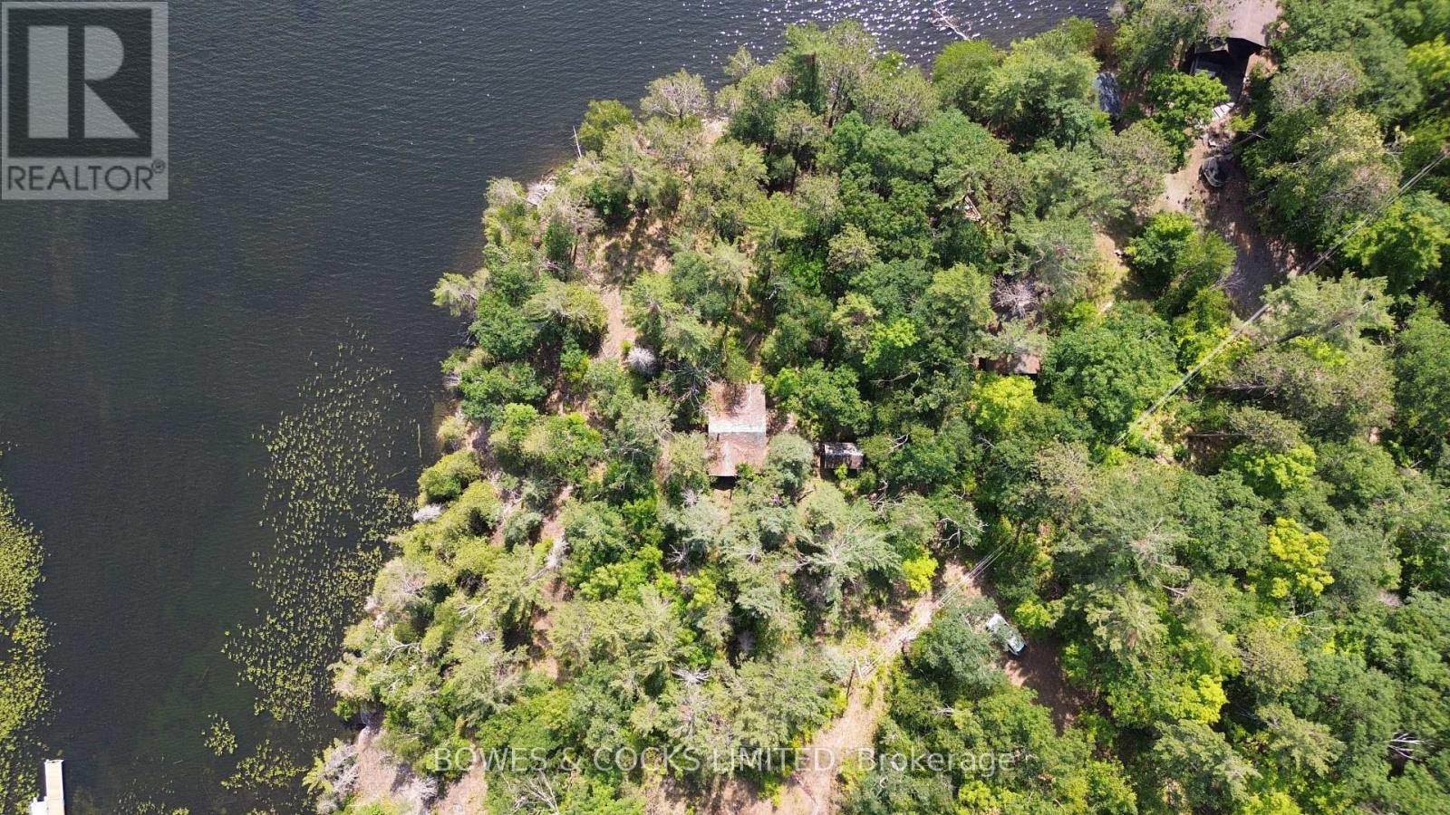 10 Fire Route 46, North Kawartha, Ontario  K0L 2H0 - Photo 16 - X12305577