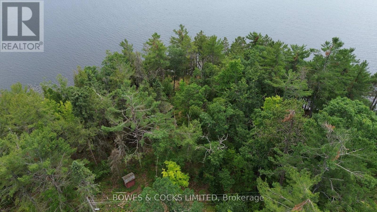 10 Fire Route 46, North Kawartha, Ontario  K0L 2H0 - Photo 17 - X12305577